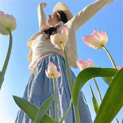 手机人生