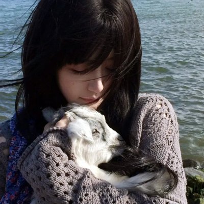 杨门少年
